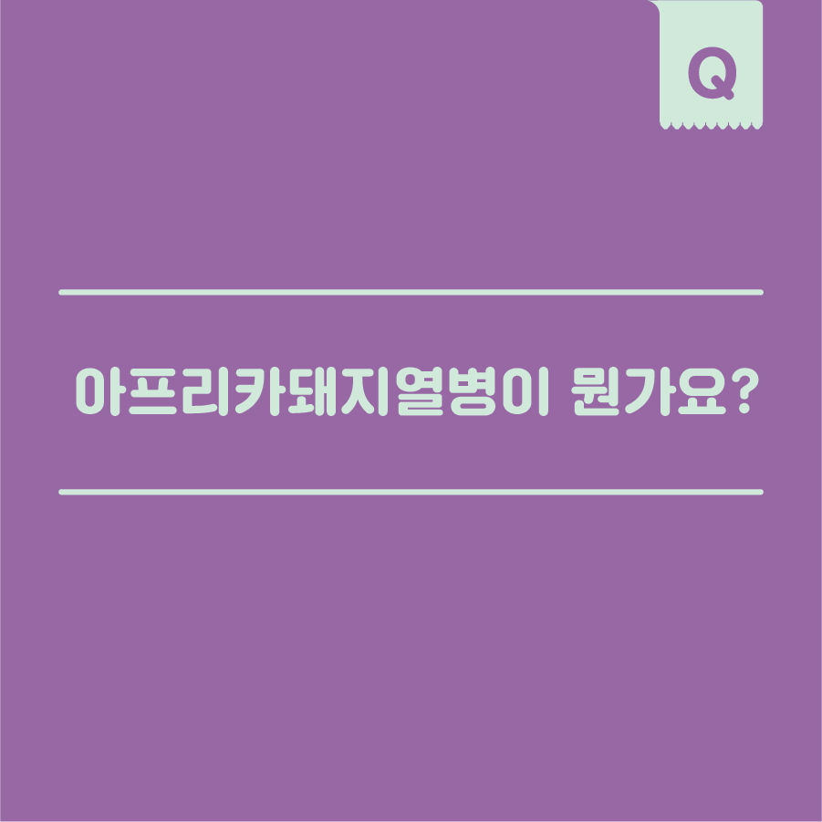 아프리카돼지열병이 뭔가요?